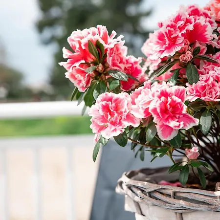 Appartement Lefkes Summer House #1